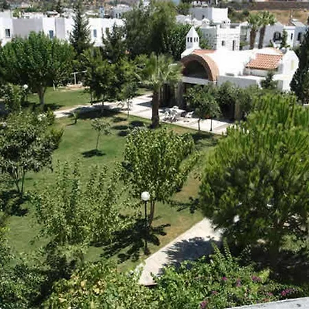 Mimosa Gümbet